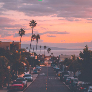 成人黄动漫网站❌免费下载
