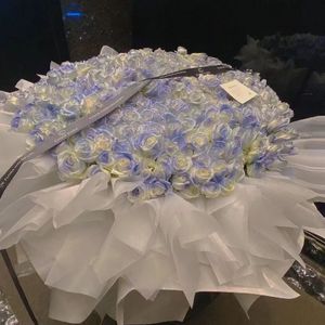 成人黄动漫网站❌免费下载
